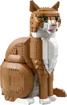21376