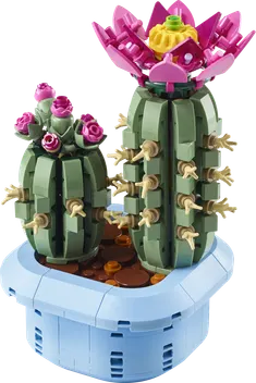 11509