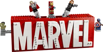 76313