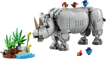 31171