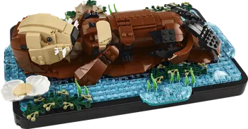 21366