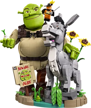 72423