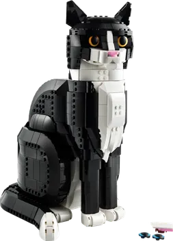 21349
