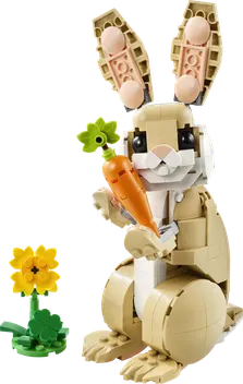 31162