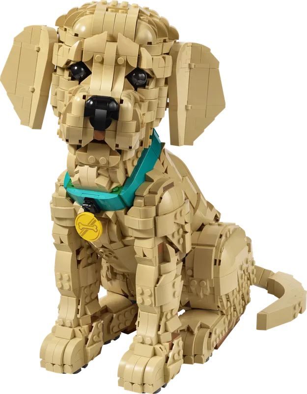 LEGO Icons Golden retriever-hvalp 11384