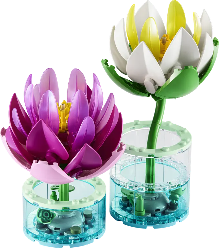 LEGO Botanicals Åkander 11511