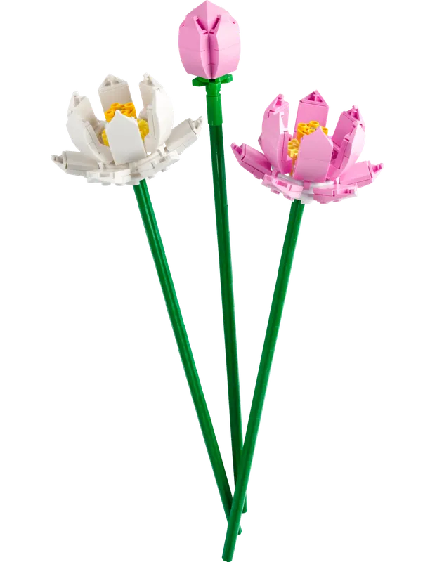 LEGO Botanicals Lotus Flowers 40647