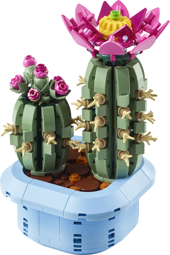 11509
