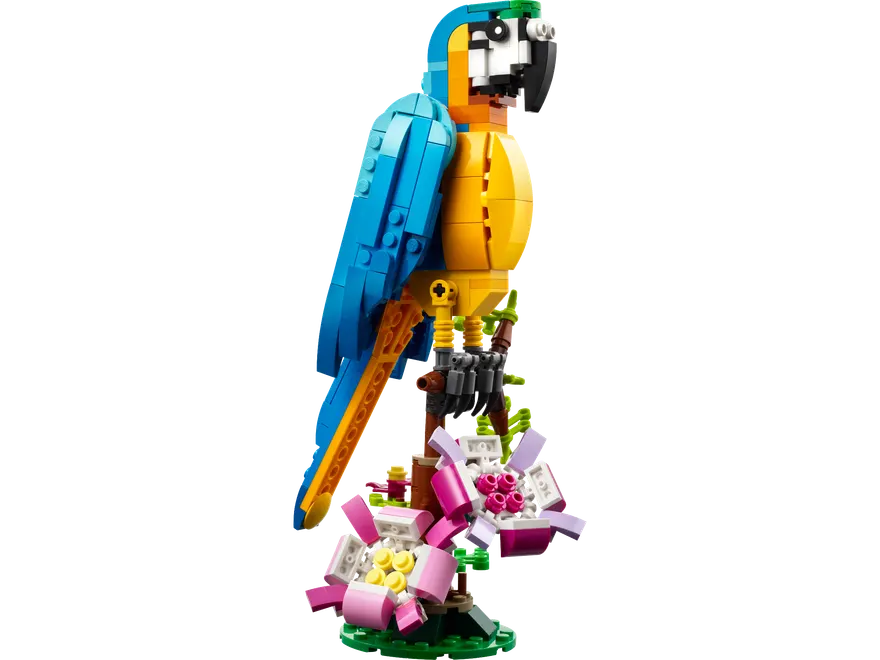 31136
