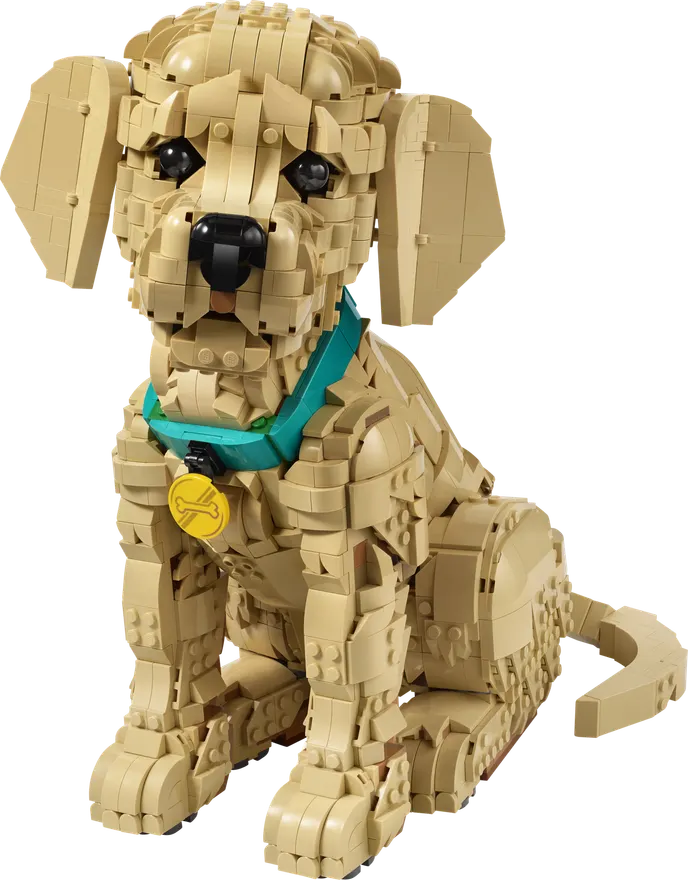 11384