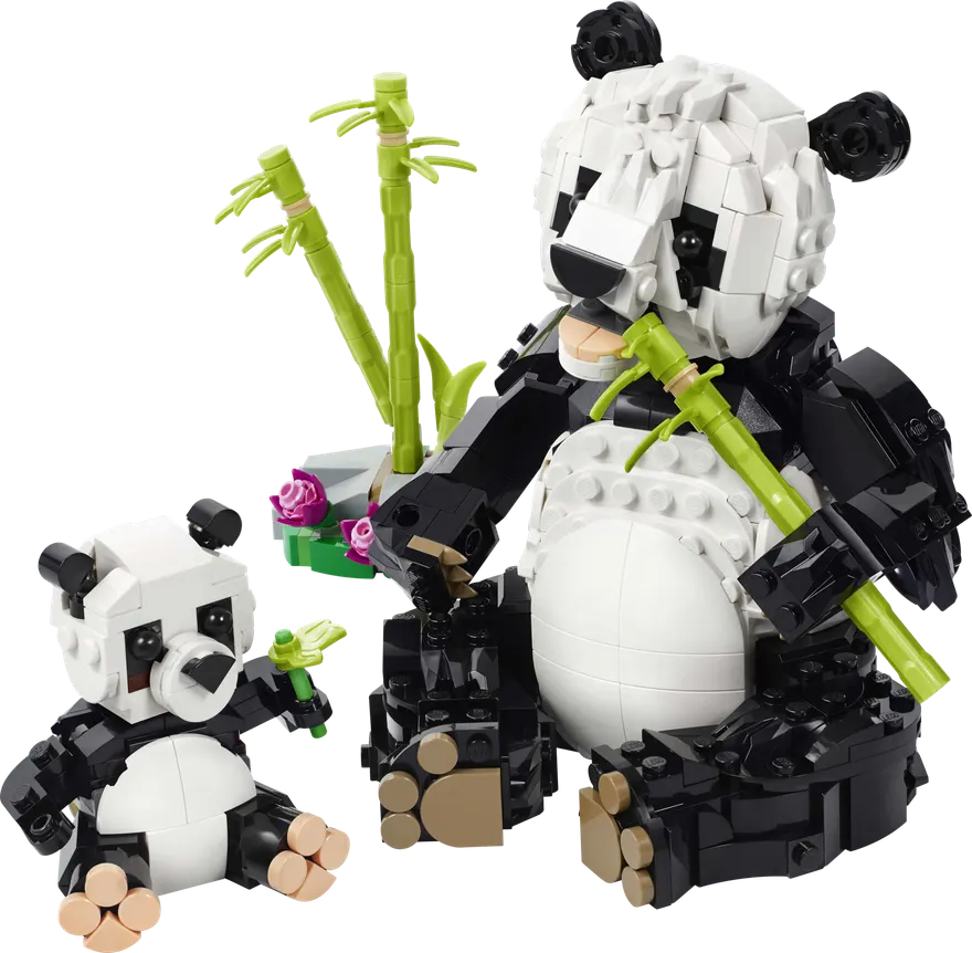 31165