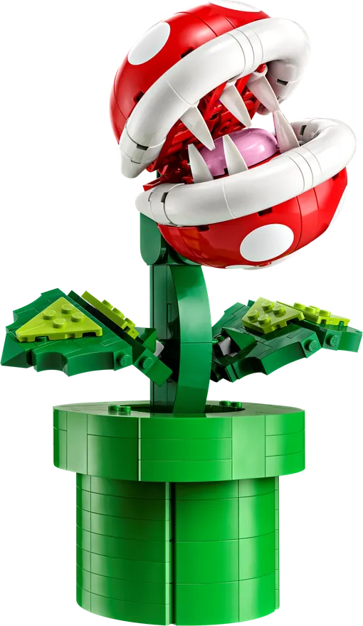 71426