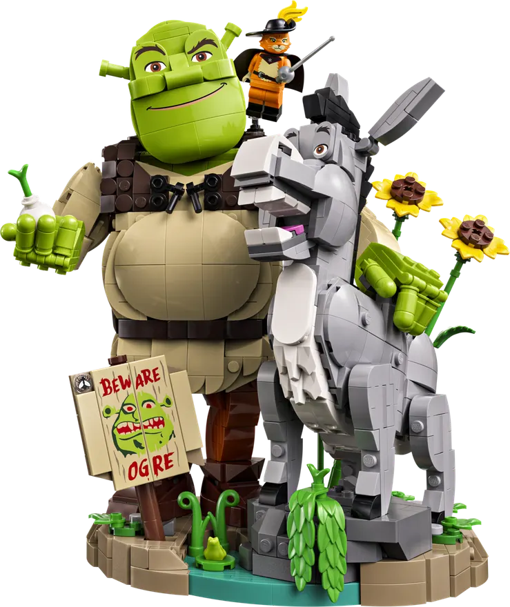 72423