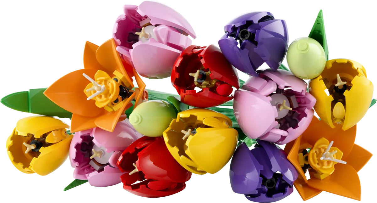 LEGO Botanicals Tulipanbuket 11501