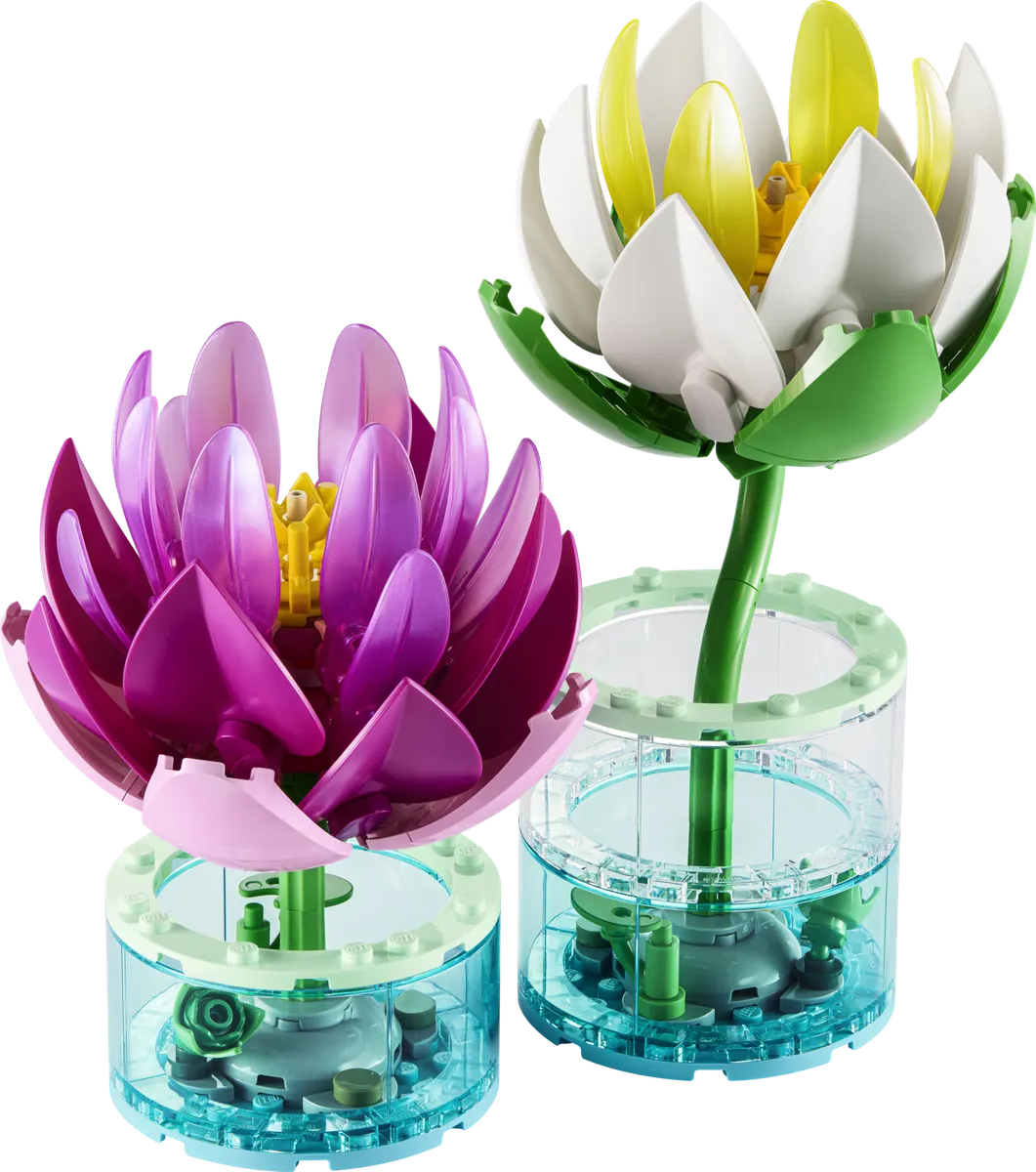 LEGO Botanicals Åkander 11511