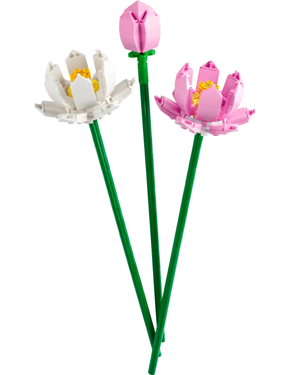 LEGO Botanicals Lotus Flowers 40647