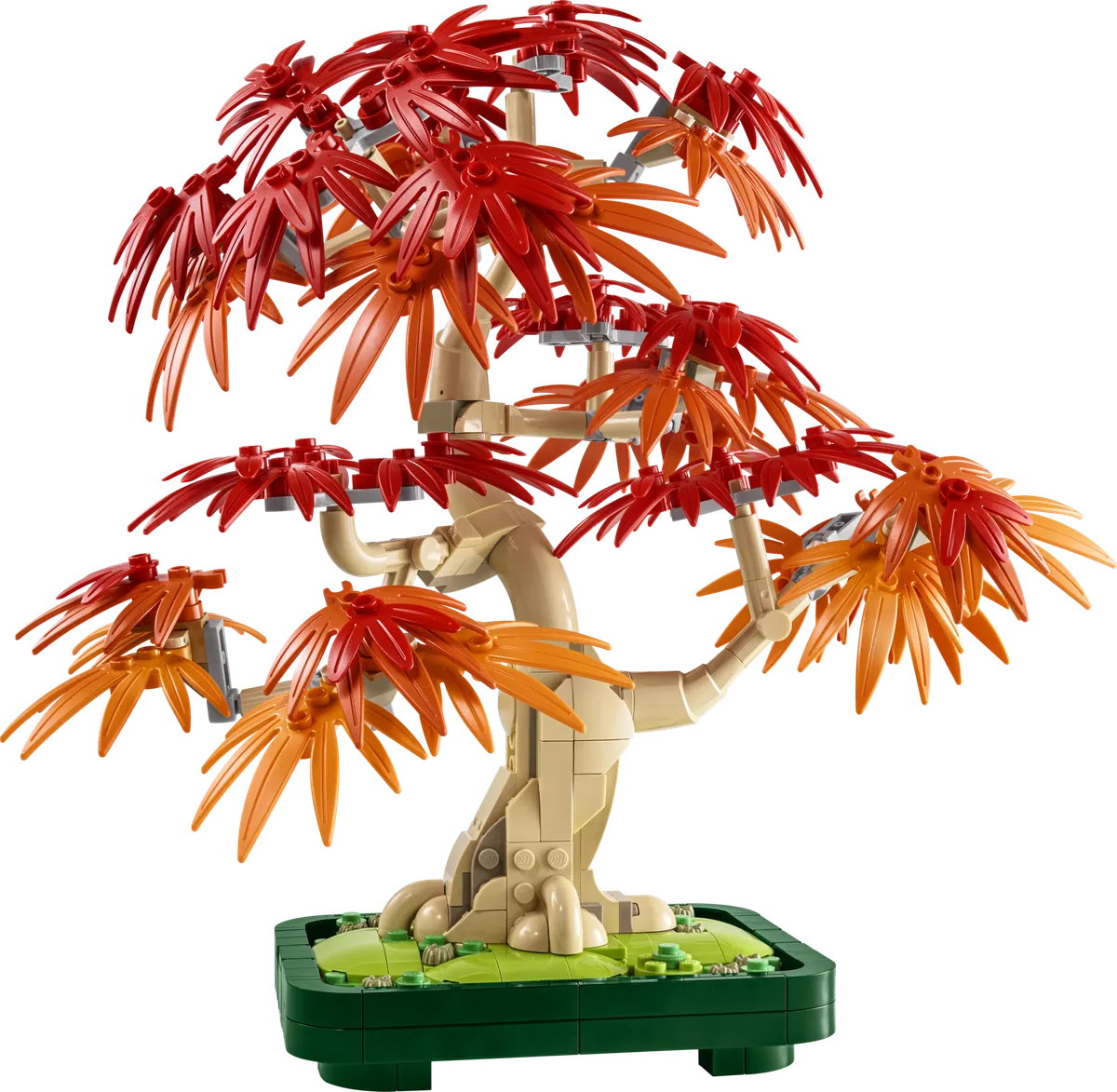 LEGO Botanicals Bonsaitræ: Japansk løn 10348